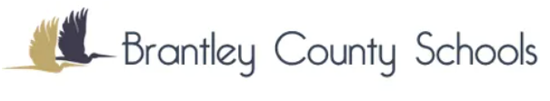 brantley county schools calendar