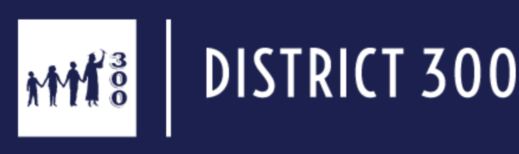 district-300