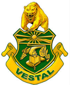 vestal csd