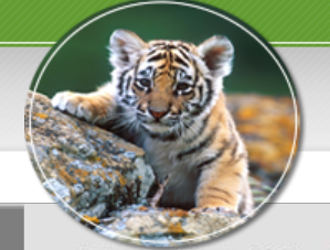 Lower Township Elementary School Calendar