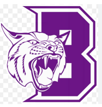 Berryville School District AR