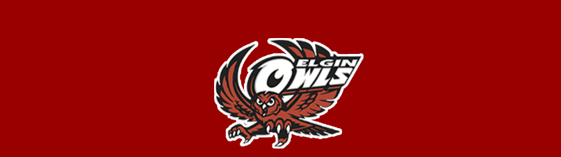 Elgin Public School District calendar