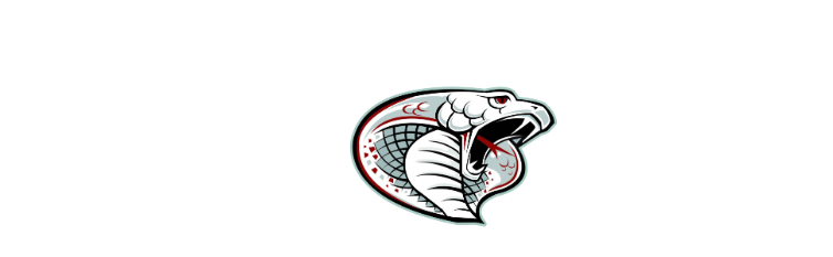 TRITON PUBLIC SCHOOLS