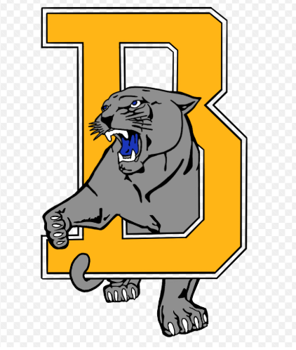 bergman school district arkansas