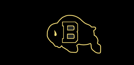 Buffalo High School