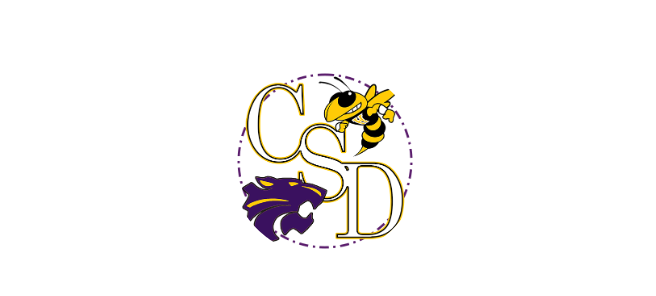 Custer School District 16-1