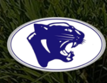 Mt. Morris Consolidated Schools