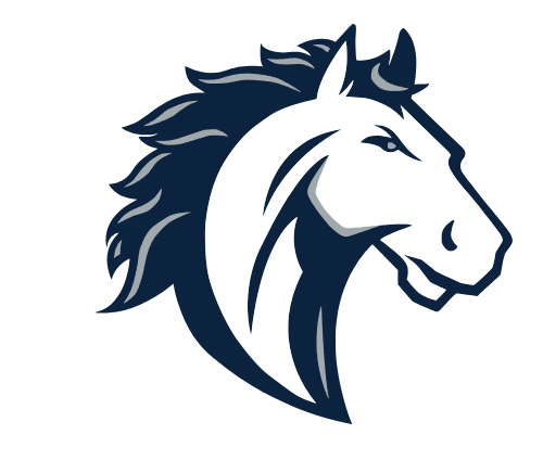 North Branch Area School District