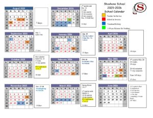 Shoshone School District