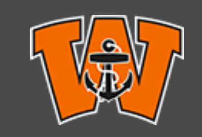 wilson central school ny