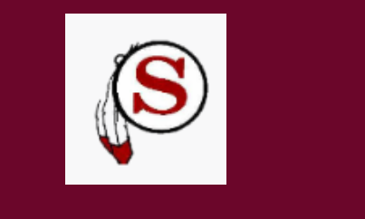 Shoshone School District