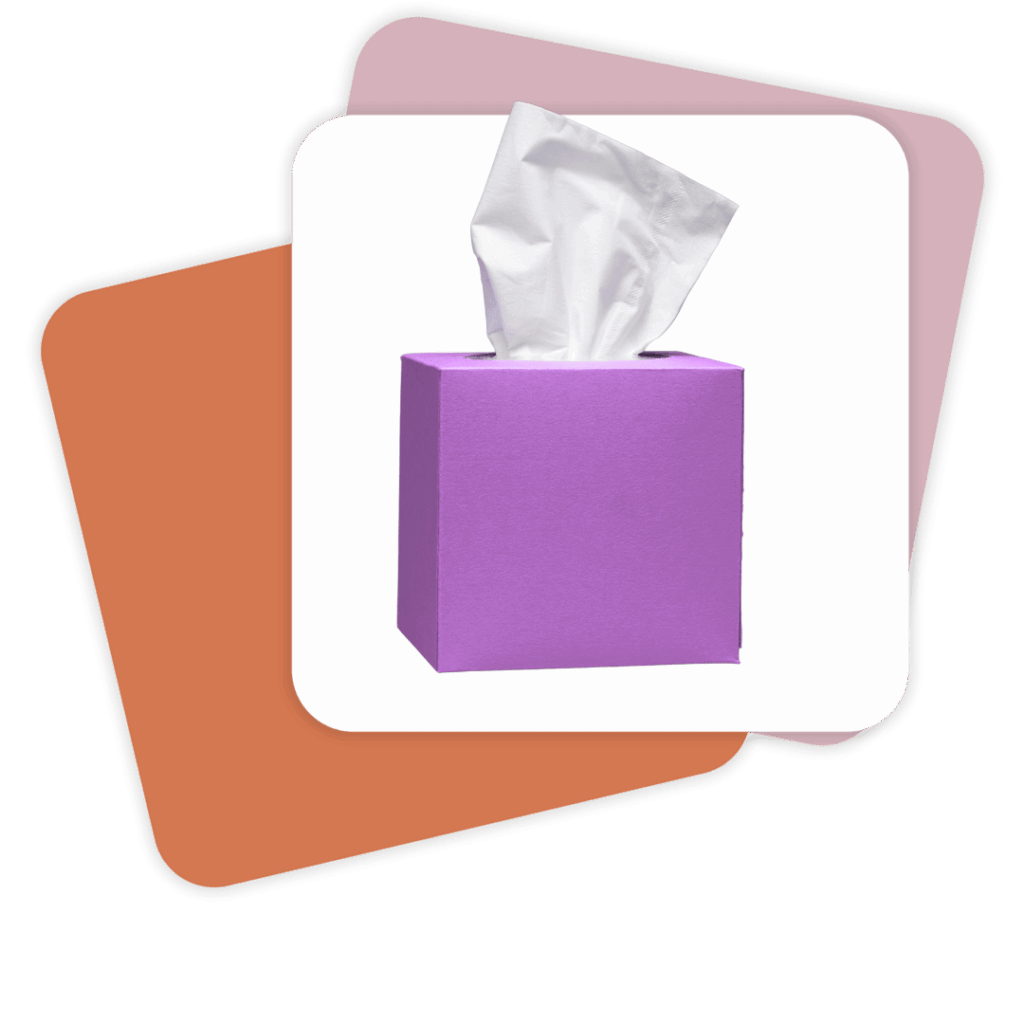 Tissues (1–2 boxes) – Keeps students prepared for everyday needs